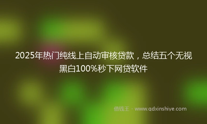 2025年热门纯线上自动审核贷款，总结五个无视黑白100%秒下网贷软件