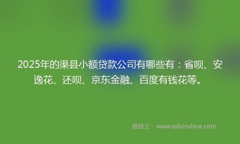 2025年的渠县小额贷款公司有哪些有：省呗、安逸花、还呗、京东金融、百度有钱花等。