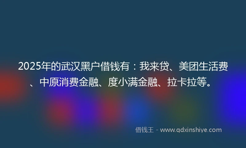 2025年的武汉黑户借钱有：我来贷、美团生活费、中原消费金融、度小满金融、拉卡拉等。