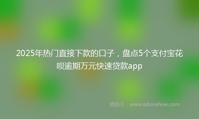 2025年热门直接下款的口子，盘点5个支付宝花呗逾期万元快速贷款app