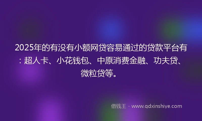 2025年的有没有小额网贷容易通过的贷款平台有：超人卡、小花钱包、中原消费金融、功夫贷、微粒贷等。