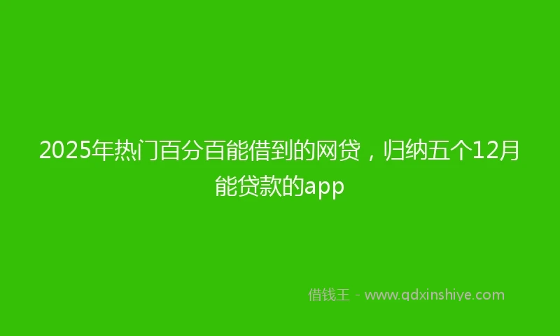 2025年热门百分百能借到的网贷，归纳五个12月能贷款的app