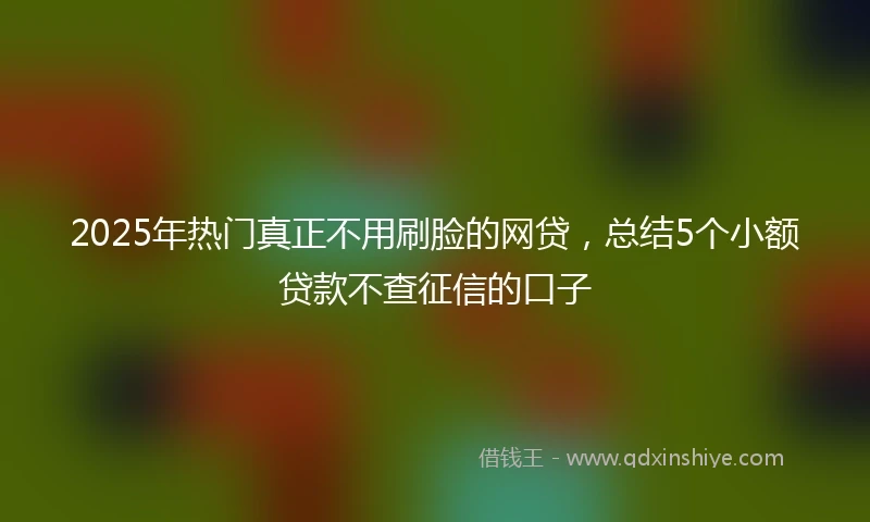 2025年热门真正不用刷脸的网贷，总结5个小额贷款不查征信的口子