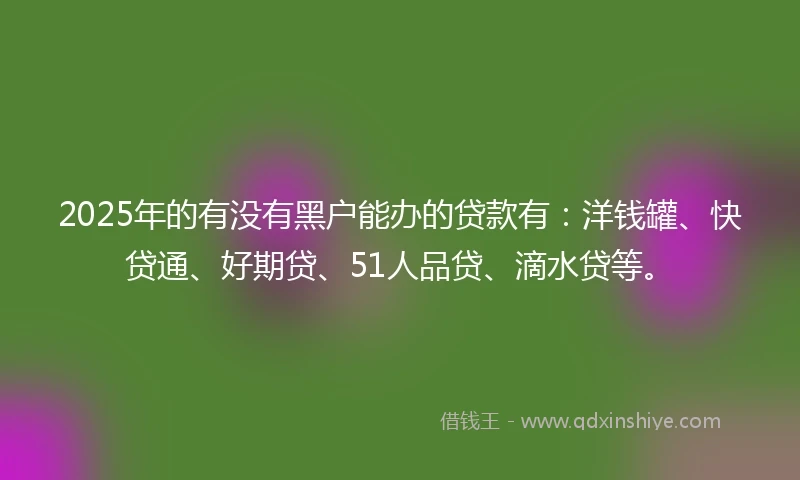 2025年的有没有黑户能办的贷款有：洋钱罐、快贷通、好期贷、51人品贷、滴水贷等。