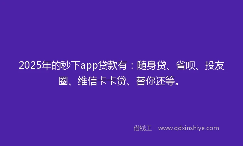 2025年的秒下app贷款有：随身贷、省呗、投友圈、维信卡卡贷、替你还等。