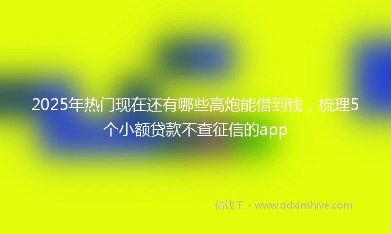 2025年热门现在还有哪些高炮能借到钱，梳理5个小额贷款不查征信的app