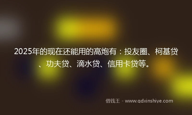 2025年的现在还能用的高炮有：投友圈、柯基贷、功夫贷、滴水贷、信用卡贷等。