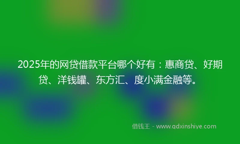 2025年的网贷借款平台哪个好有：惠商贷、好期贷、洋钱罐、东方汇、度小满金融等。