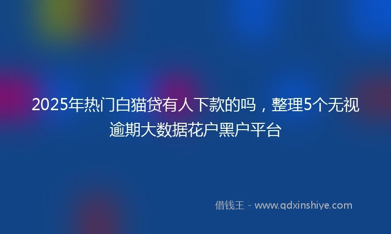 2025年热门白猫贷有人下款的吗，整理5个无视逾期大数据花户黑户平台