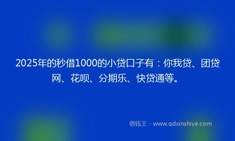 2025年的秒借1000的小贷口子有：你我贷、团贷网、花呗、分期乐、快贷通等。