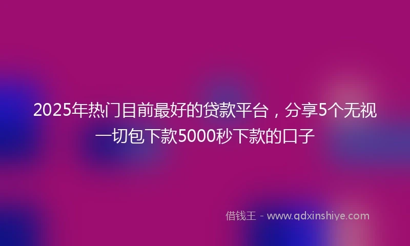 2025年热门目前最好的贷款平台，分享5个无视一切包下款5000秒下款的口子