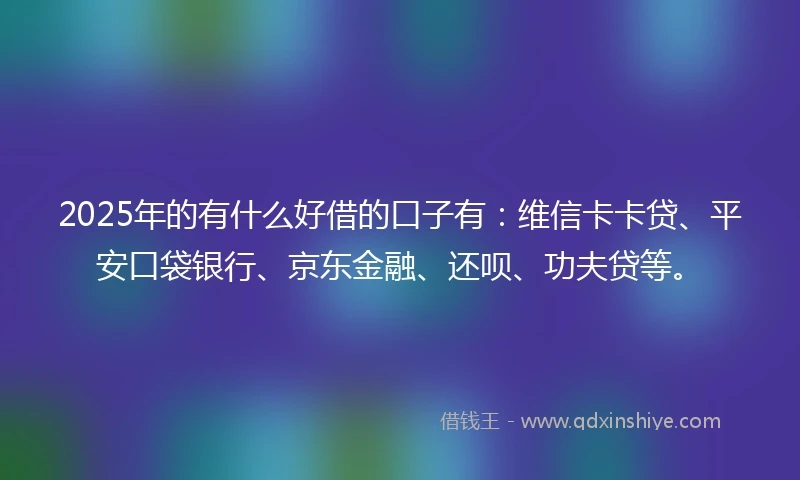 2025年的有什么好借的口子有：维信卡卡贷、平安口袋银行、京东金融、还呗、功夫贷等。