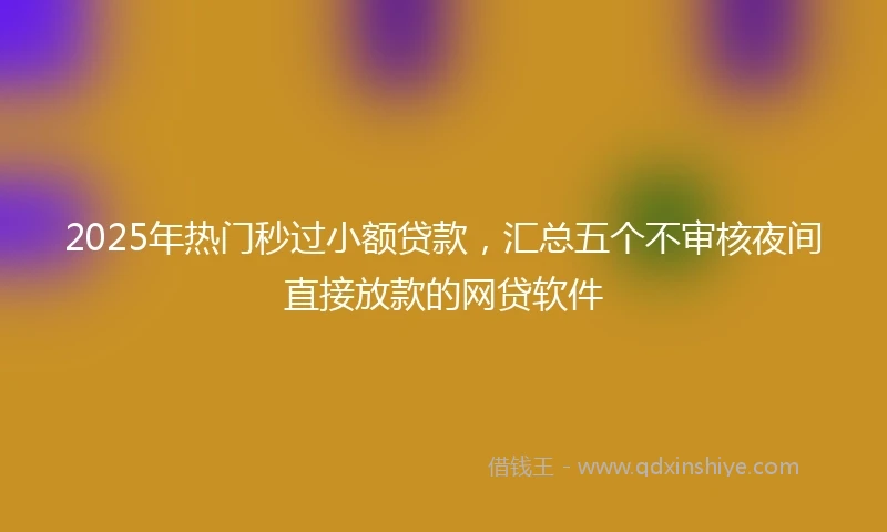 2025年热门秒过小额贷款，汇总五个不审核夜间直接放款的网贷软件