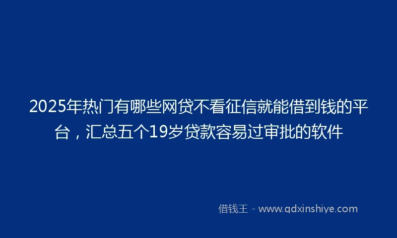 2025年热门有哪些网贷不看征信就能借到钱的平台，汇总五个19岁贷款容易过审批的软件