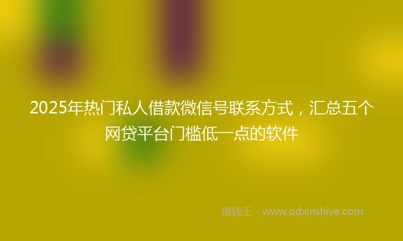 2025年热门私人借款微信号联系方式，汇总五个网贷平台门槛低一点的软件