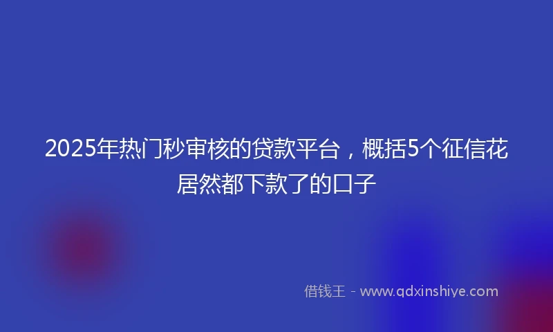 2025年热门秒审核的贷款平台，概括5个征信花居然都下款了的口子