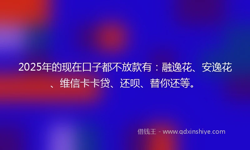 2025年的现在口子都不放款有：融逸花、安逸花、维信卡卡贷、还呗、替你还等。