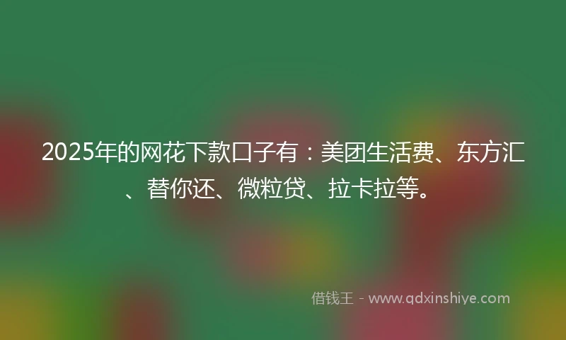 2025年的网花下款口子有：美团生活费、东方汇、替你还、微粒贷、拉卡拉等。