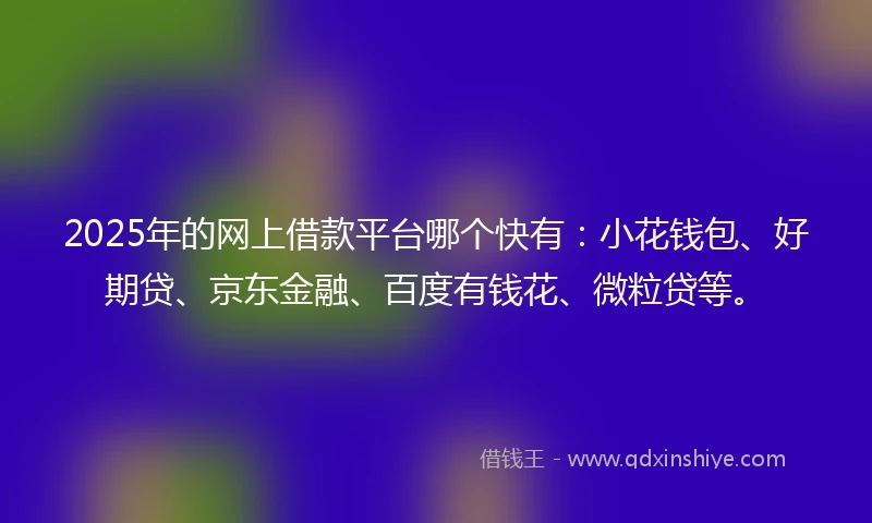 2025年的网上借款平台哪个快有：小花钱包、好期贷、京东金融、百度有钱花、微粒贷等。