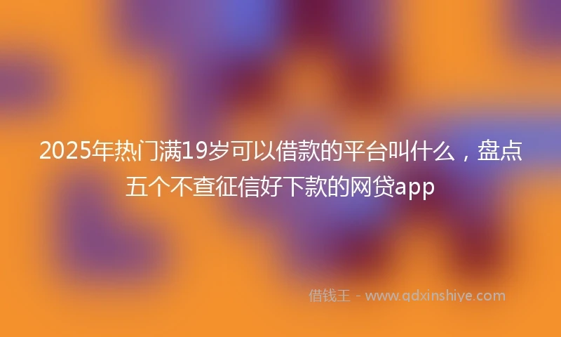 2025年热门满19岁可以借款的平台叫什么，盘点五个不查征信好下款的网贷app