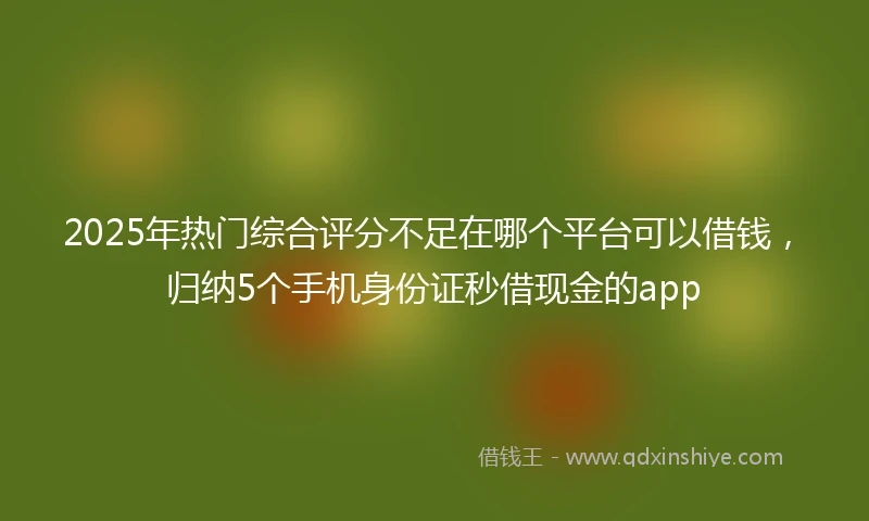 2025年热门综合评分不足在哪个平台可以借钱,归纳5个手机身份证秒借现金的app