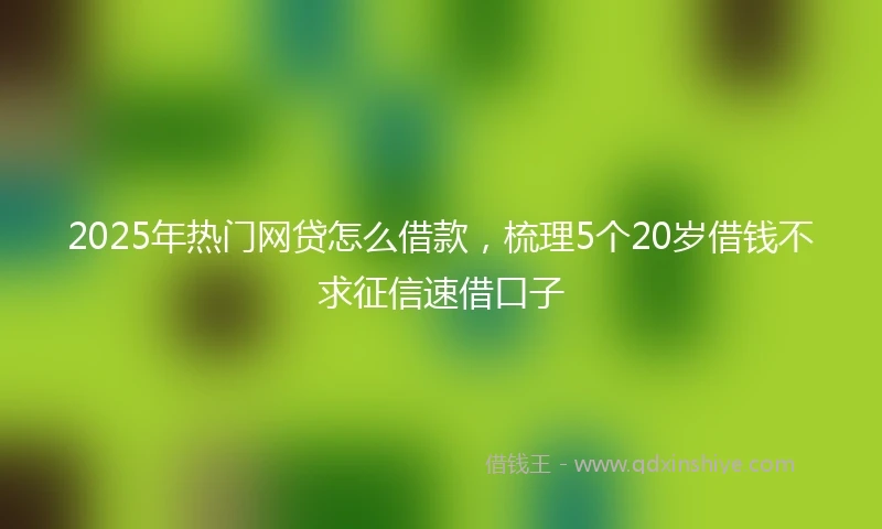 2025年热门网贷怎么借款，梳理5个20岁借钱不求征信速借口子