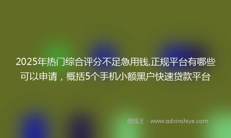 2025年热门综合评分不足急用钱,正规平台有哪些可以申请，概括5个手机小额黑户快速贷款平台