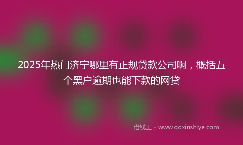 2025年热门济宁哪里有正规贷款公司啊，概括五个黑户逾期也能下款的网贷