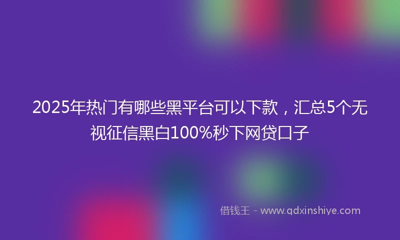 2025年热门有哪些黑平台可以下款，汇总5个无视征信黑白100%秒下网贷口子