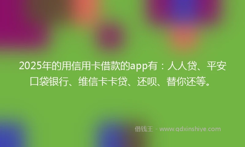 2025年的用信用卡借款的app有：人人贷、平安口袋银行、维信卡卡贷、还呗、替你还等。