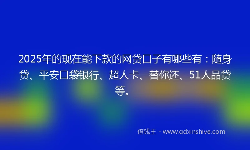 2025年的现在能下款的网贷口子有哪些有：随身贷、平安口袋银行、超人卡、替你还、51人品贷等。
