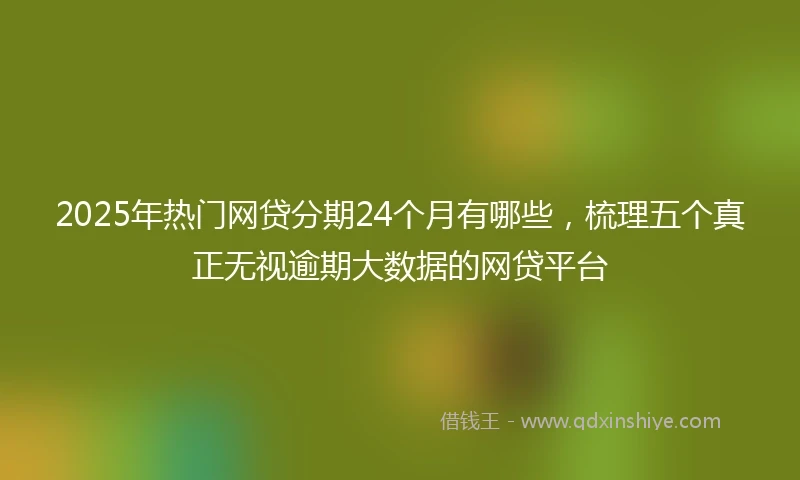 2025年热门网贷分期24个月有哪些，梳理五个真正无视逾期大数据的网贷平台