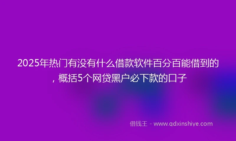 2025年热门有没有什么借款软件百分百能借到的，概括5个网贷黑户必下款的口子