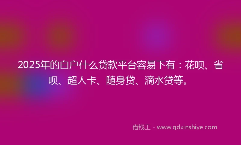 2025年的白户什么贷款平台容易下有：花呗、省呗、超人卡、随身贷、滴水贷等。