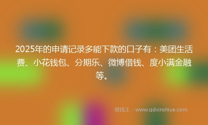 2025年的申请记录多能下款的口子有：美团生活费、小花钱包、分期乐、微博借钱、度小满金融等。