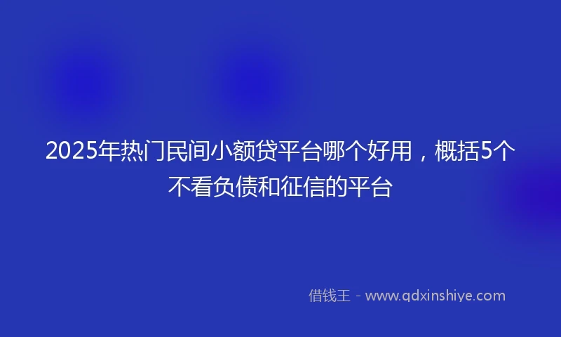 2025年热门民间小额贷平台哪个好用，概括5个不看负债和征信的平台