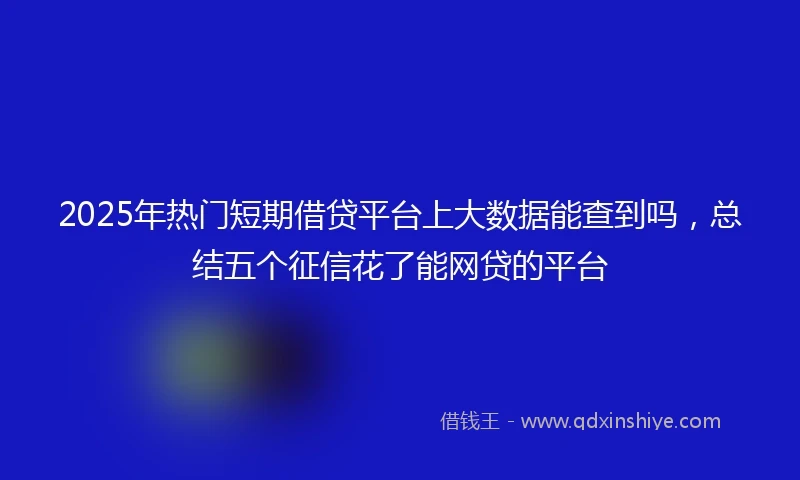 2025年热门短期借贷平台上大数据能查到吗，总结五个征信花了能网贷的平台