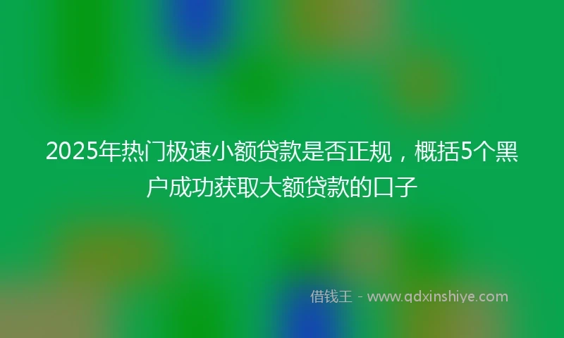 2025年热门极速小额贷款是否正规，概括5个黑户成功获取大额贷款的口子