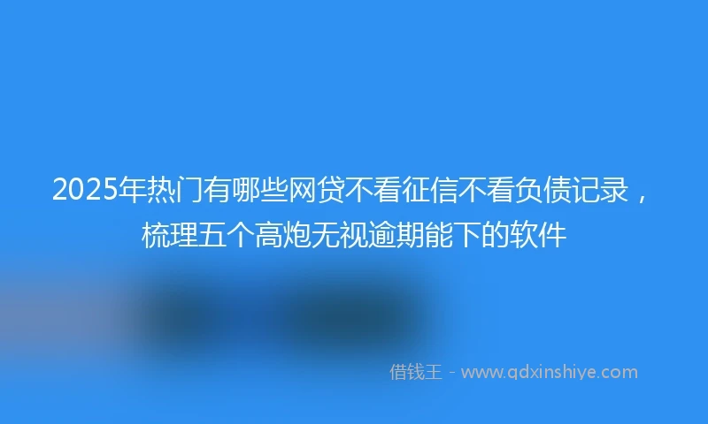 2025年热门有哪些网贷不看征信不看负债记录，梳理五个高炮无视逾期能下的软件