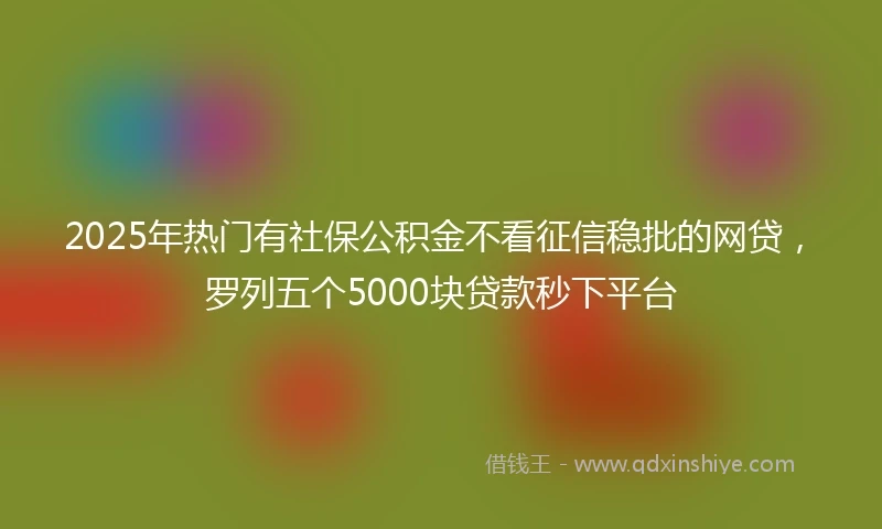 2025年热门有社保公积金不看征信稳批的网贷，罗列五个5000块贷款秒下平台