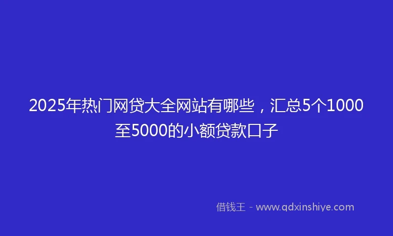 2025年热门网贷大全网站有哪些，汇总5个1000至5000的小额贷款口子