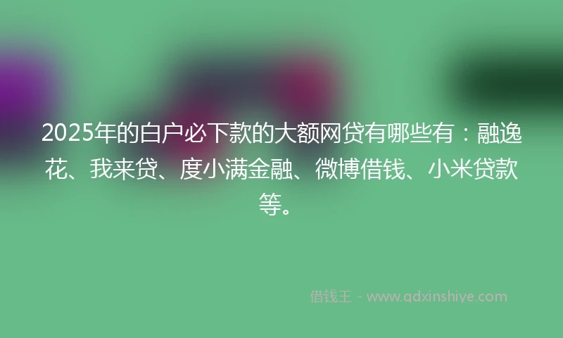 2025年的白户必下款的大额网贷有哪些有：融逸花、我来贷、度小满金融、微博借钱、小米贷款等。