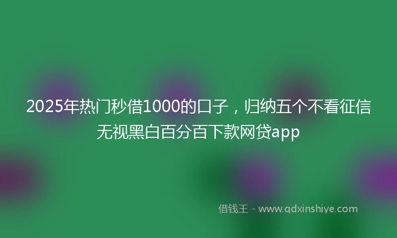 2025年热门秒借1000的口子，归纳五个不看征信无视黑白百分百下款网贷app