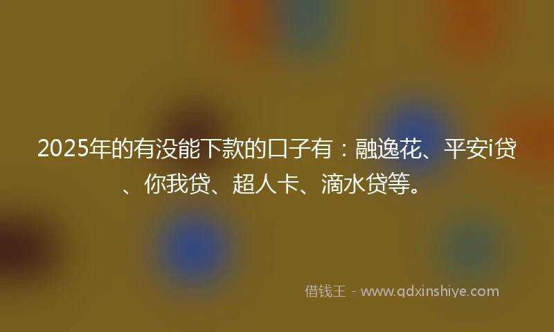 2025年的有没能下款的口子有：融逸花、平安i贷、你我贷、超人卡、滴水贷等。