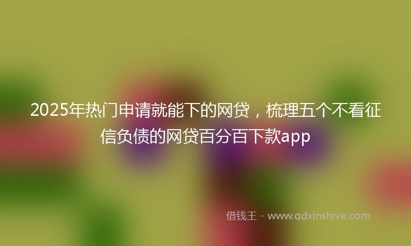 2025年热门申请就能下的网贷，梳理五个不看征信负债的网贷百分百下款app