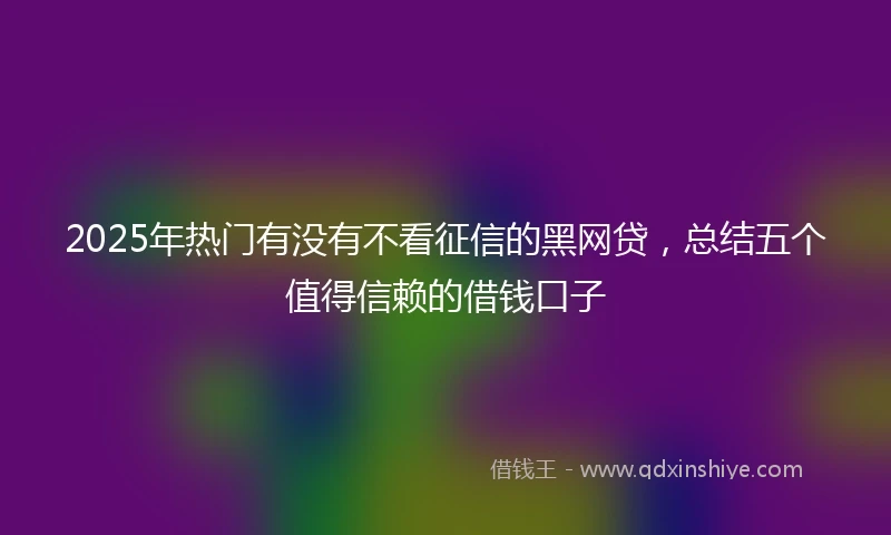 2025年热门有没有不看征信的黑网贷，总结五个值得信赖的借钱口子