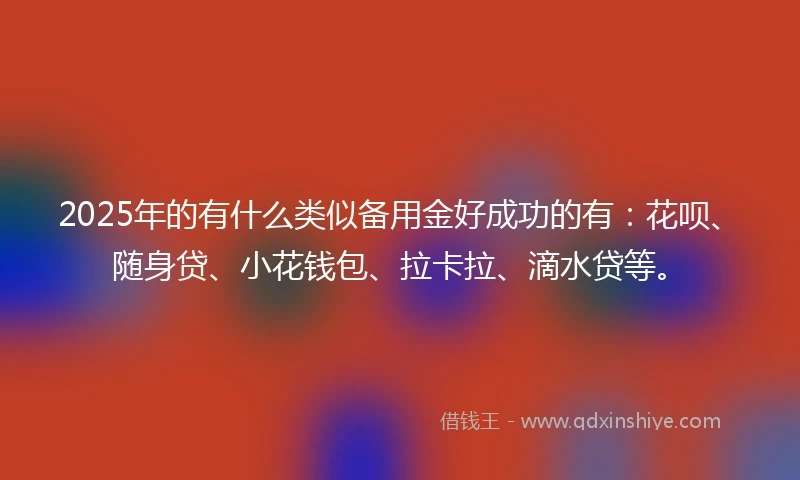 2025年的有什么类似备用金好成功的有：花呗、随身贷、小花钱包、拉卡拉、滴水贷等。
