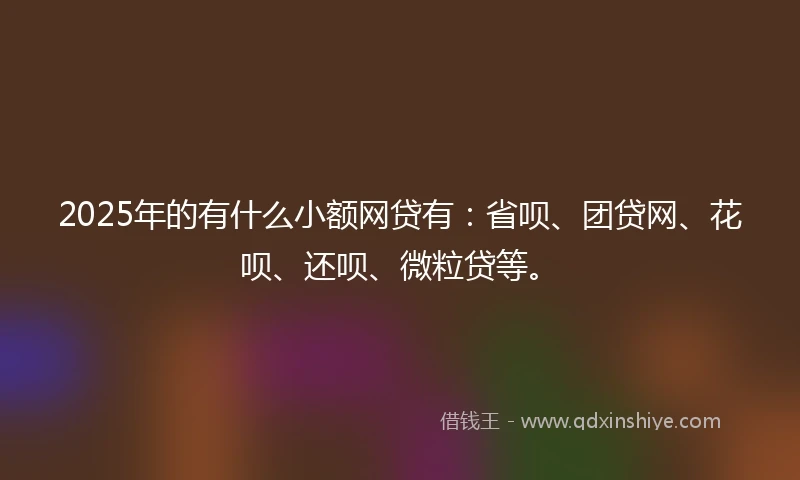 2025年的有什么小额网贷有：省呗、团贷网、花呗、还呗、微粒贷等。