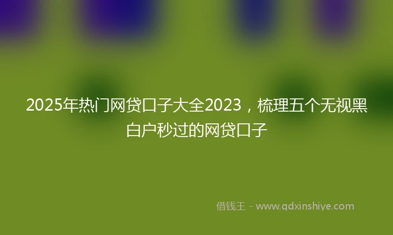 2025年热门网贷口子大全2023，梳理五个无视黑白户秒过的网贷口子