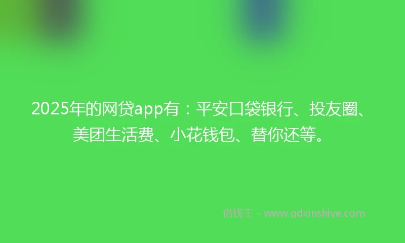 2025年的网贷app有：平安口袋银行、投友圈、美团生活费、小花钱包、替你还等。